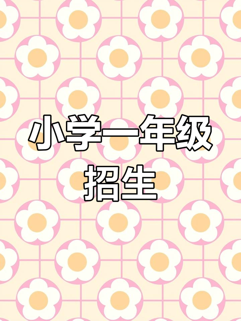 福建省南平师范附属小学:教育新星,启航未来