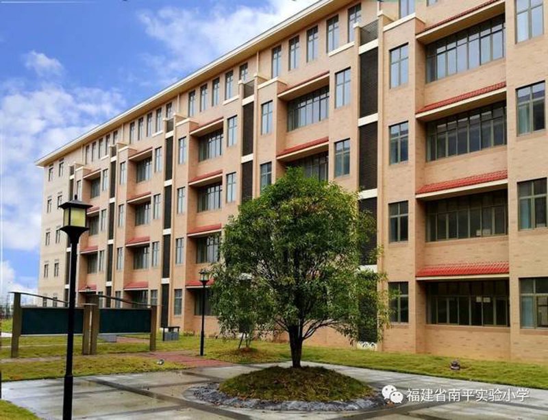 小学教育考公岗位表解读：如何应对未来挑战